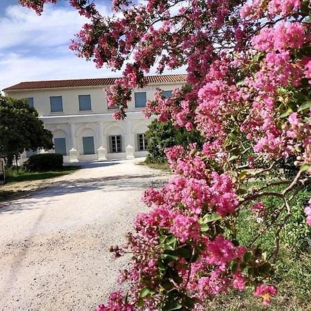 Hotel Le Floreal Le Soler Dış mekan fotoğraf