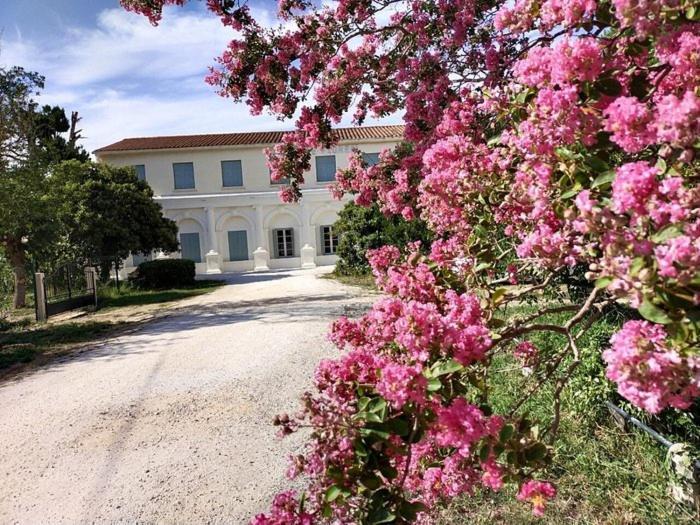 Hotel Le Floreal Le Soler Dış mekan fotoğraf